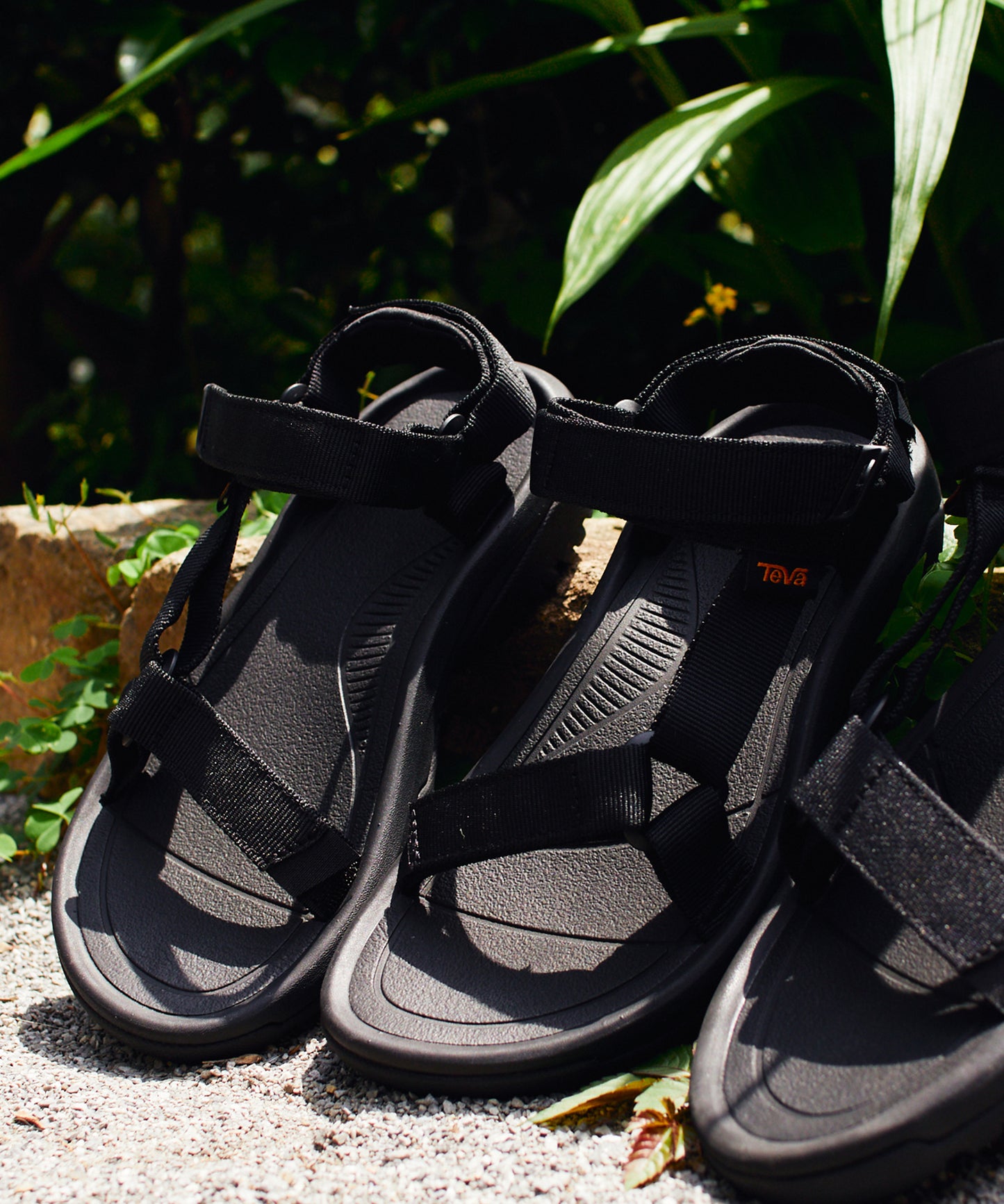 TEVA / W HURRICANE XLT2