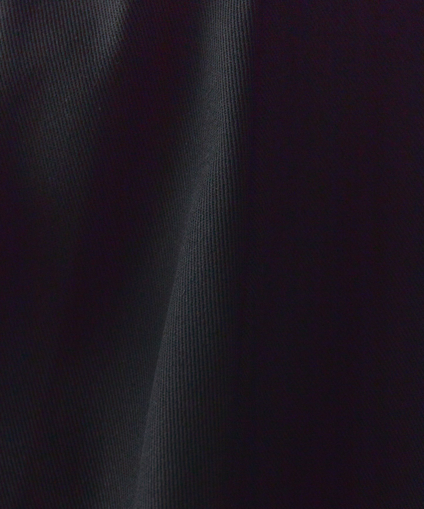 Dickies / THE ORIGINAL FIT "874"