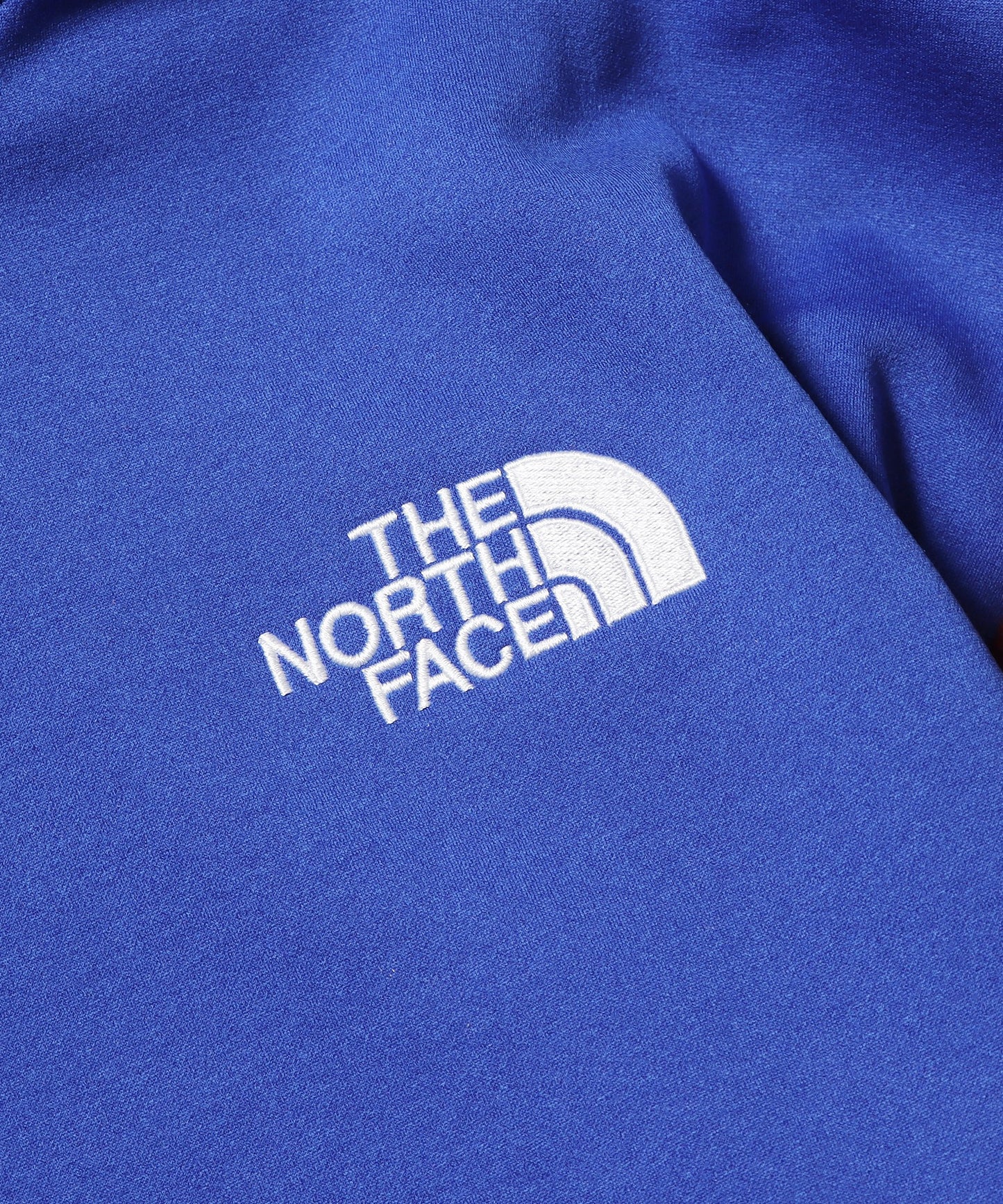 THE NORTH FACE / M NVLTY FLC JKT