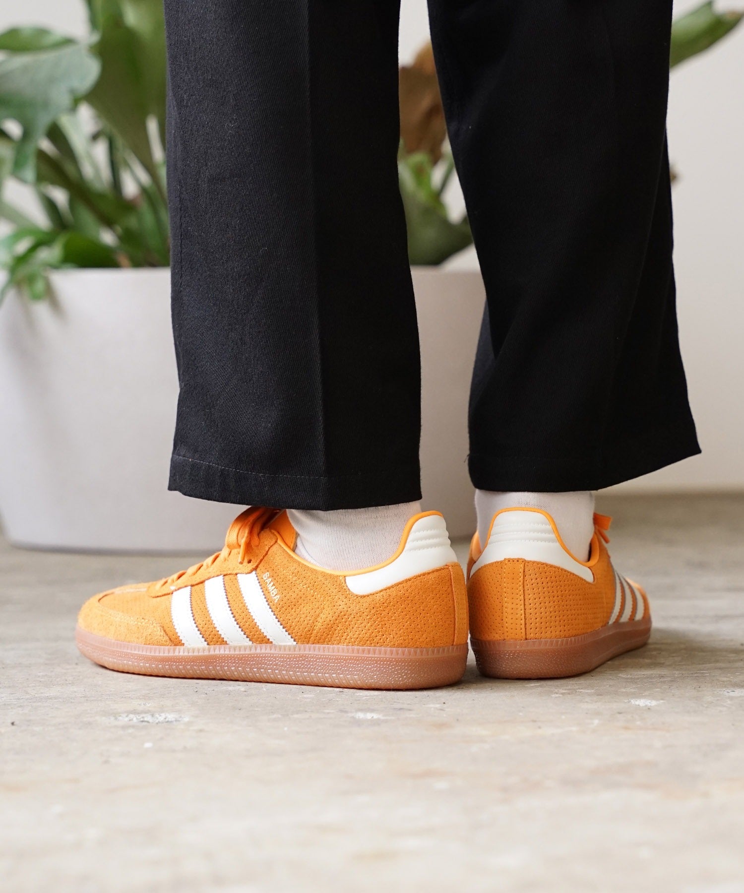 SAMBA OG