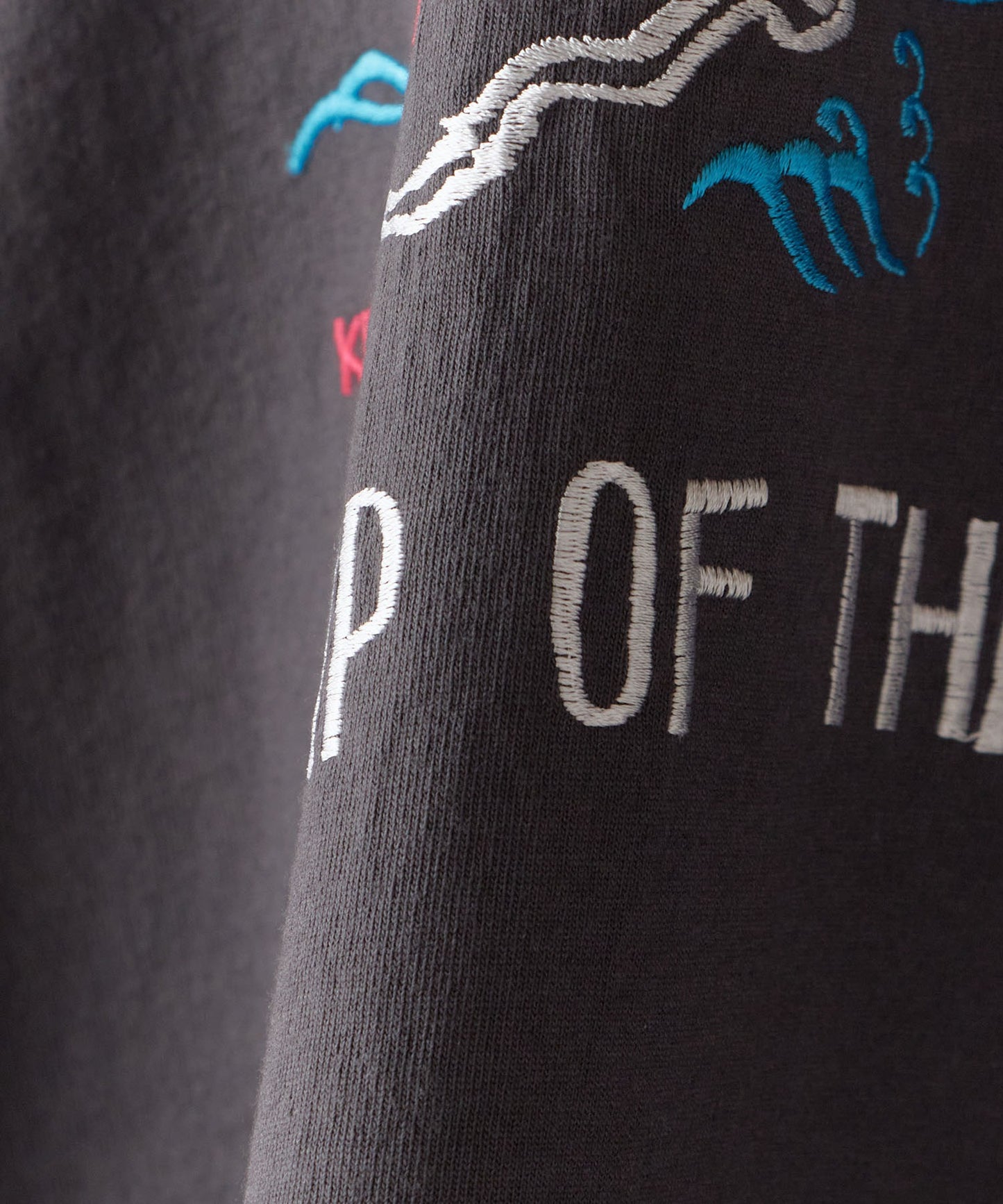 FACETASM / THULE LONG TEE