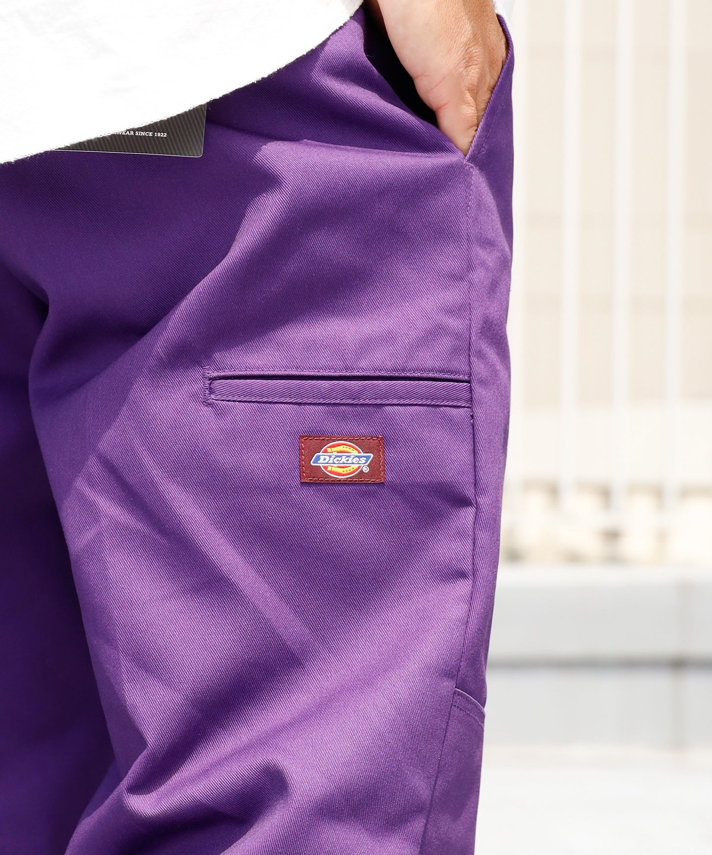 Dickies / LOOSE FIT DOUBLE KNEE