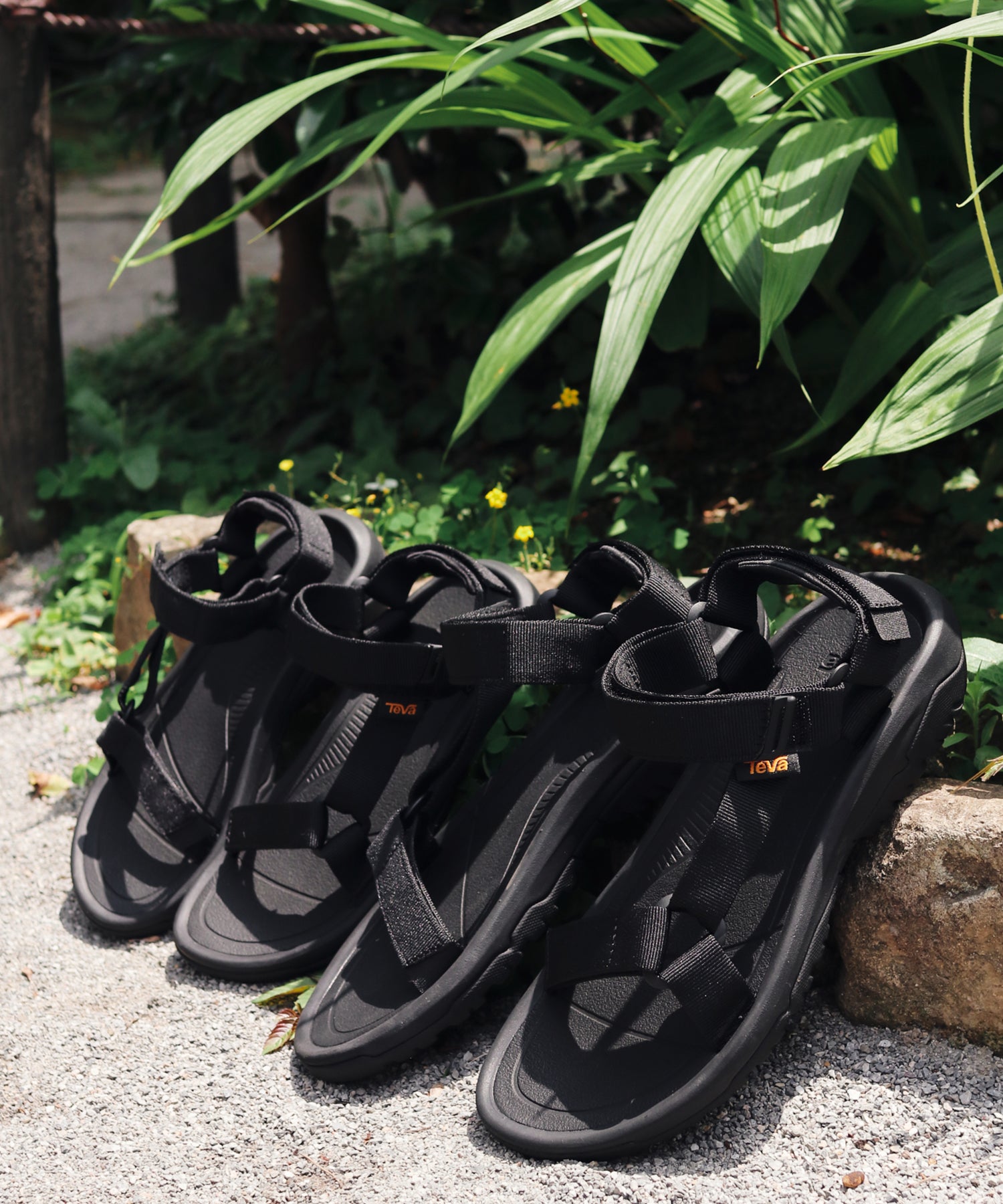 TEVA / M HURRICANE XLT2