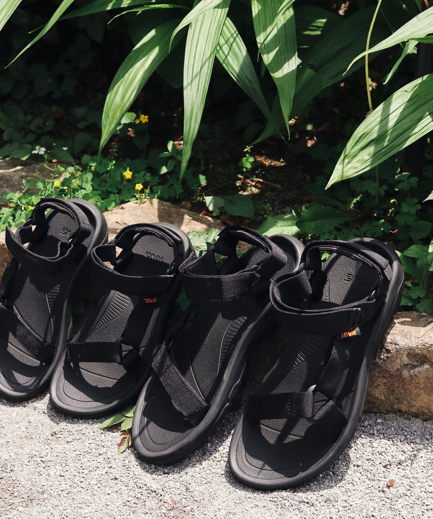 TEVA / W HURRICANE XLT2