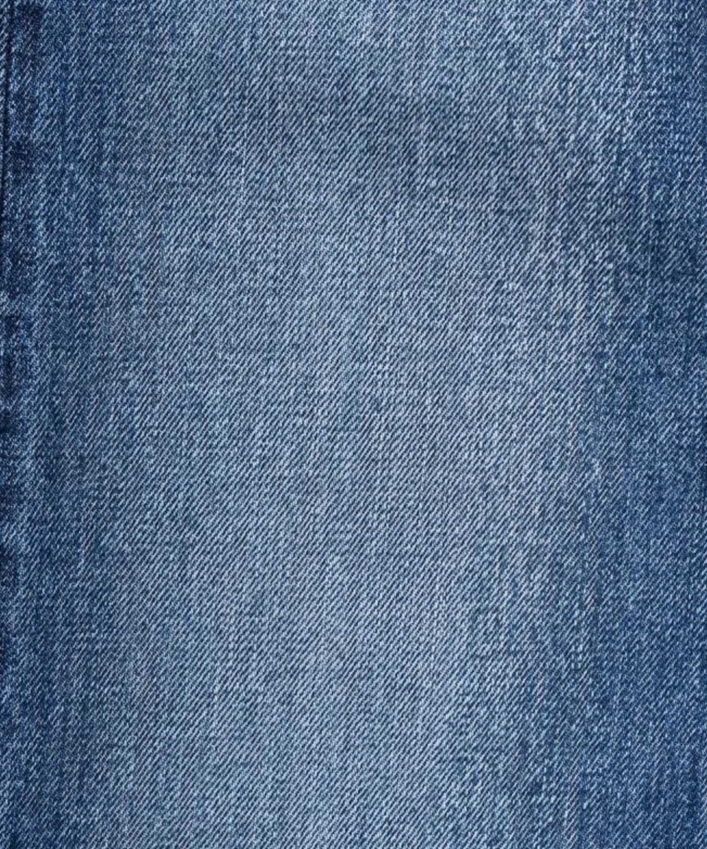 Ordinary fits / TYPE LOOSE/USED