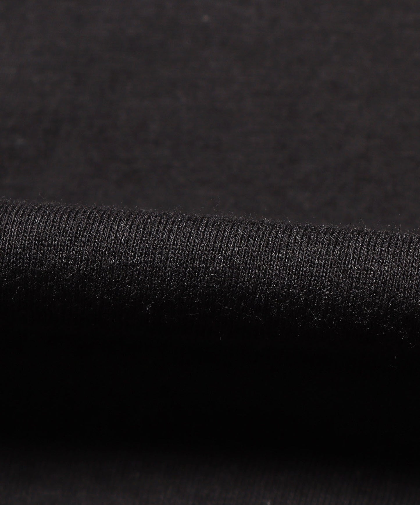 Champion / Authentic LONG SLEEVE T-SHIRTS