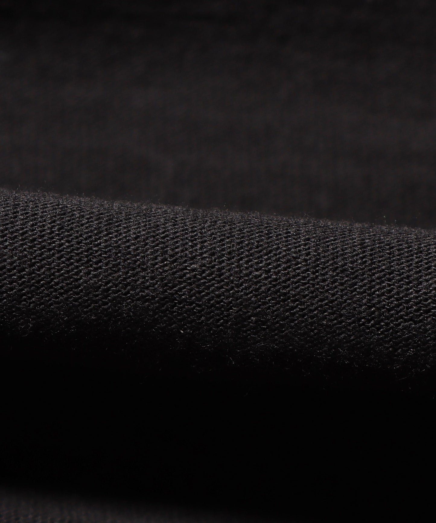 Champion / Authentic LONG SLEEVE T-SHIRTS