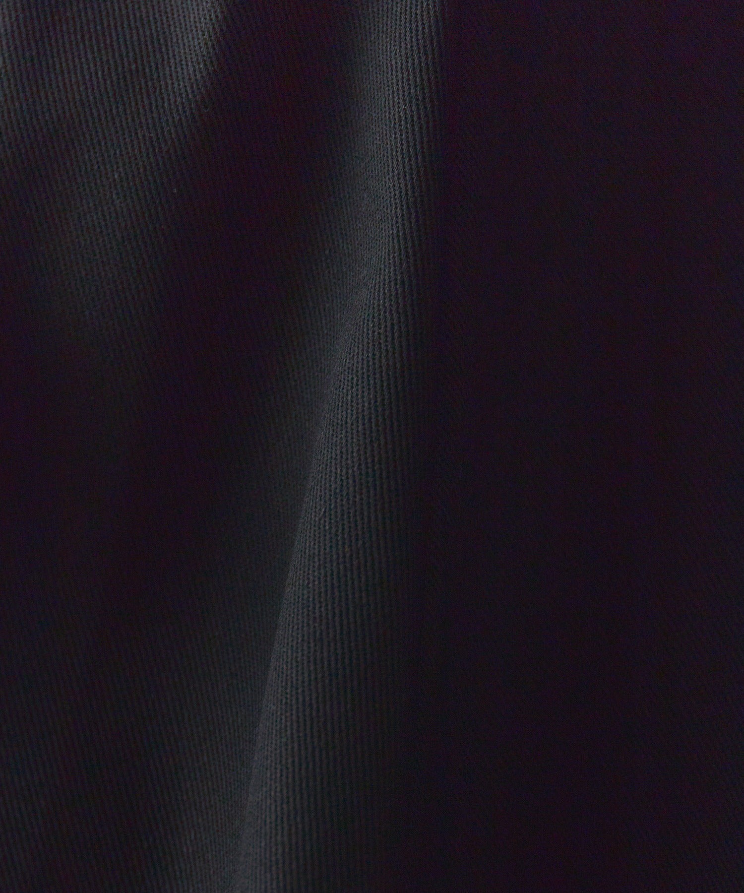 Dickies / THE ORIGINAL FIT "874"