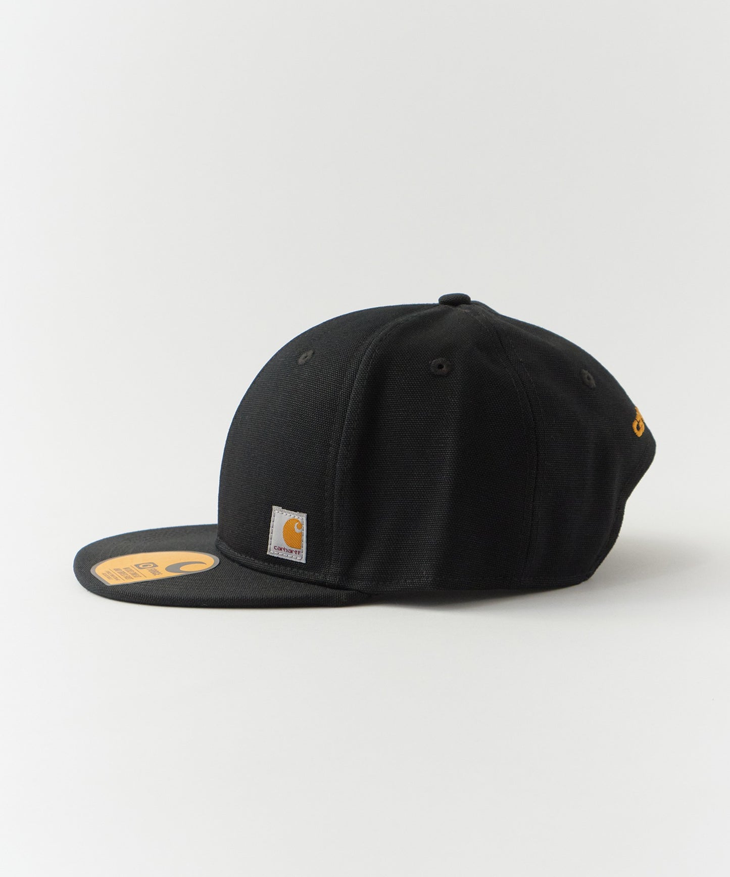 Carhartt / ASHLAND CAP