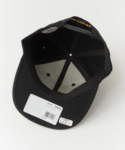 Carhartt / ASHLAND CAP