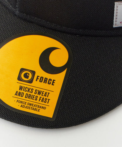 Carhartt / ASHLAND CAP