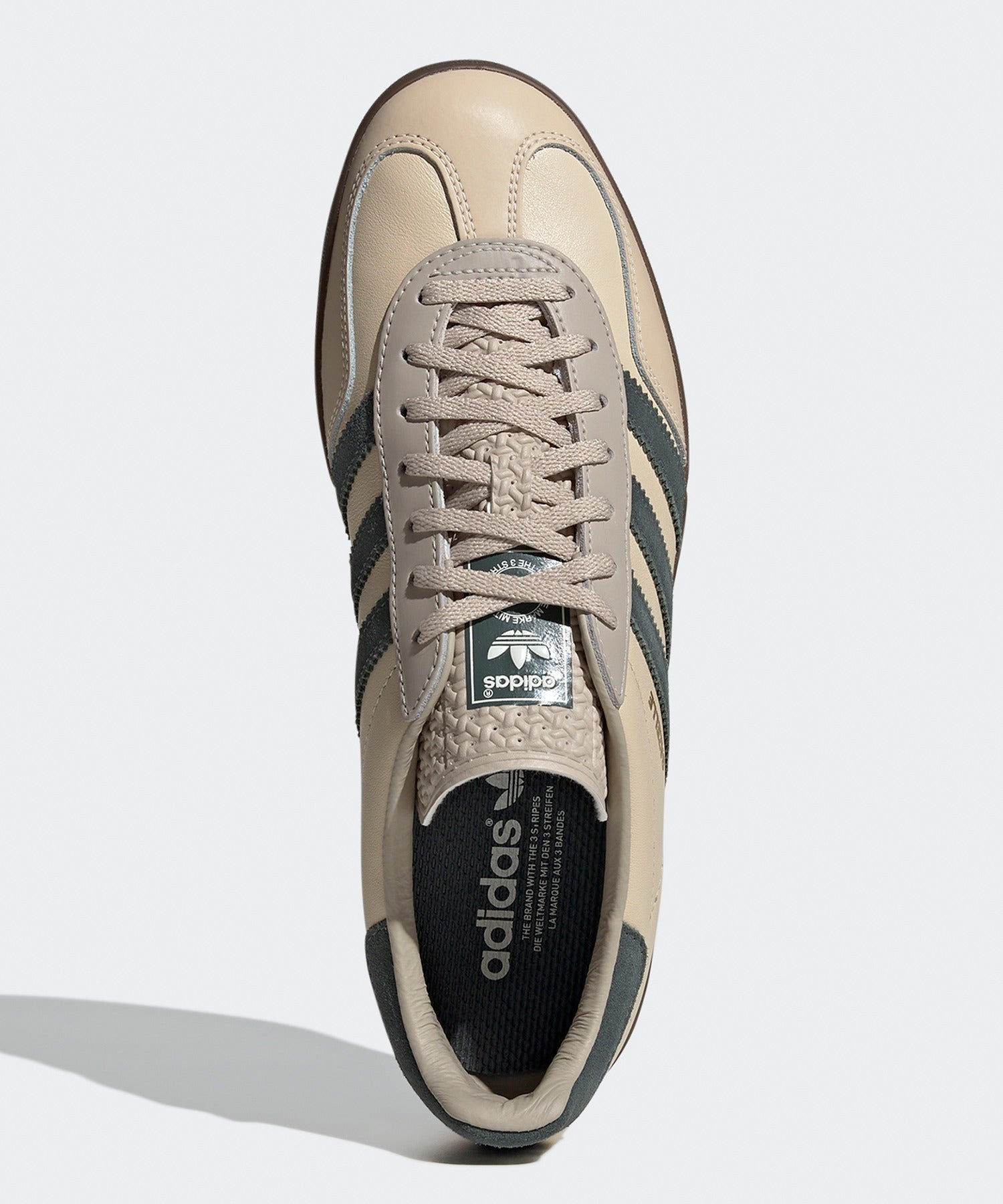 Gazelle Indoor