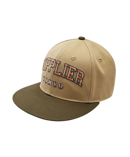 College Logo Baseball Cap