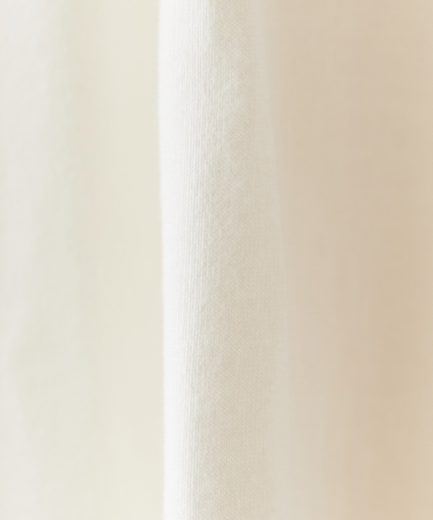 Hanes / 1PSHIRO CREWNECK T