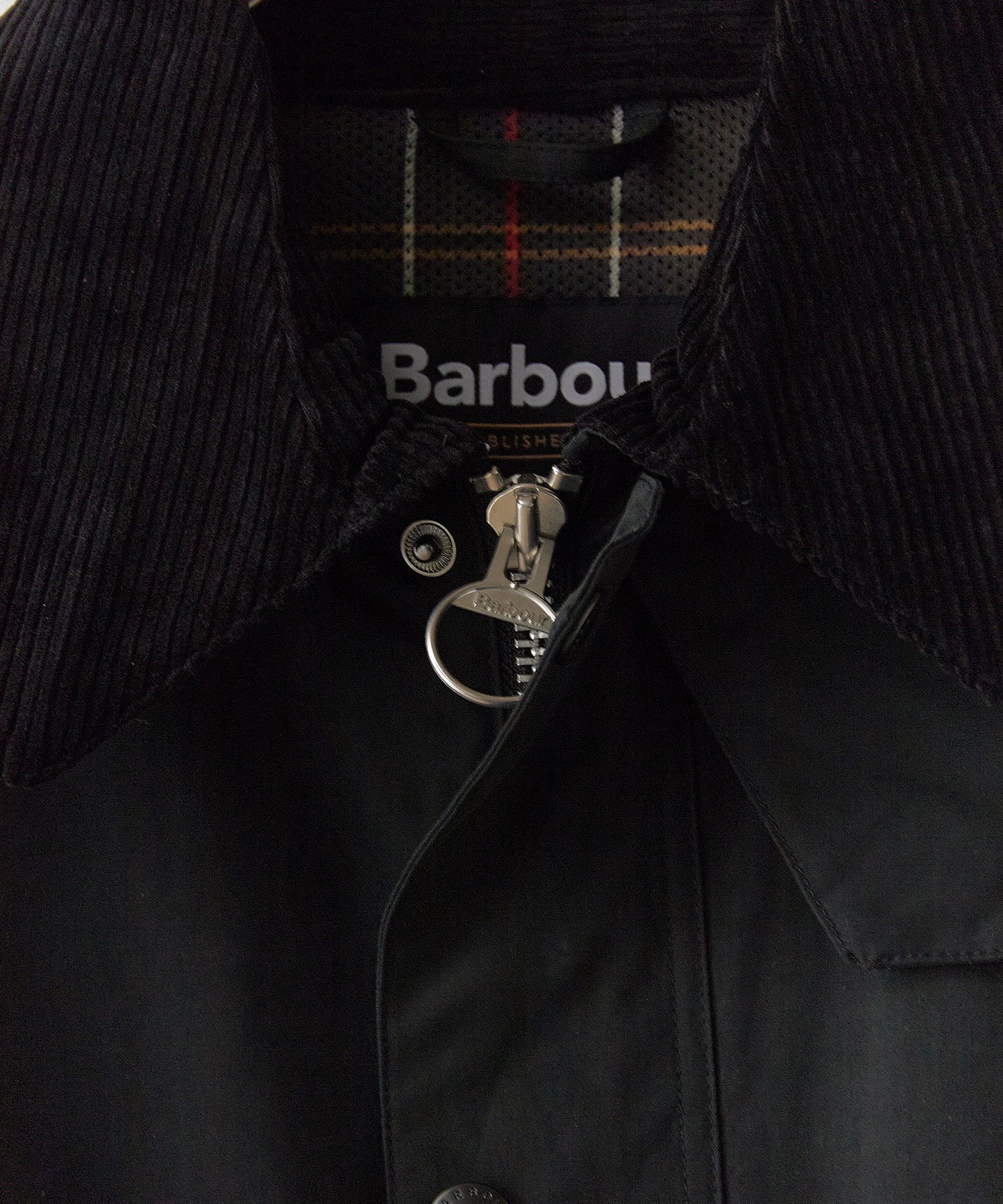 Barbour / PEACHED BEDALE CASUAL