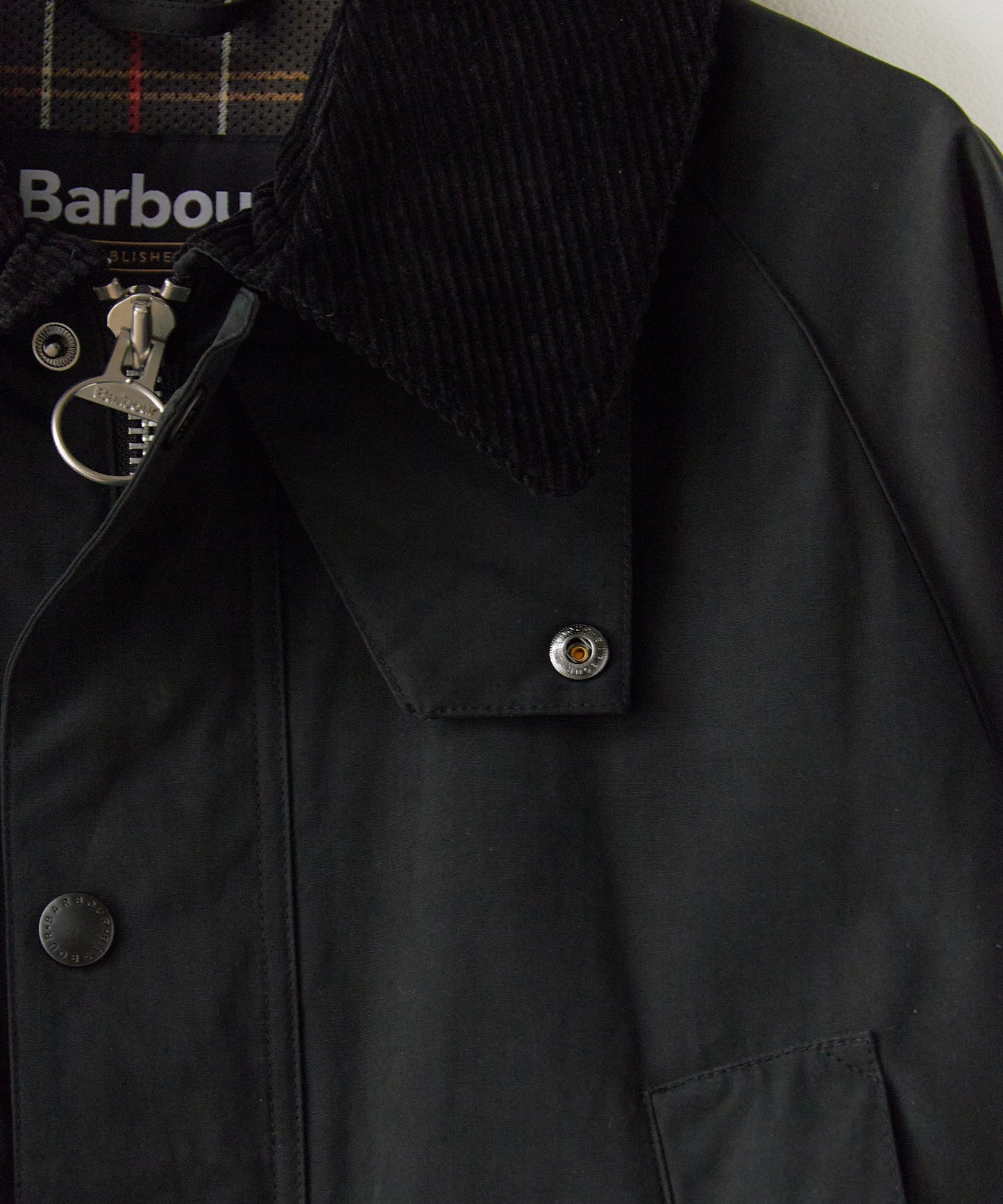 Barbour / PEACHED BEDALE CASUAL