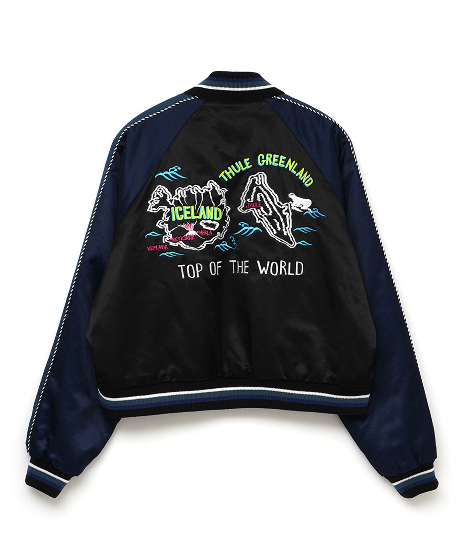 FACETASM / THULE SOUVENIR JACKET