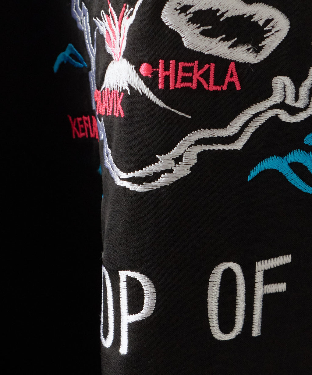 FACETASM / THULE SOUVENIR JACKET