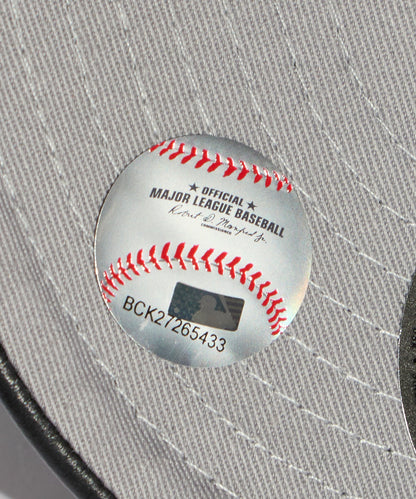 NEW ERA / GENUINE LEATHER 22196