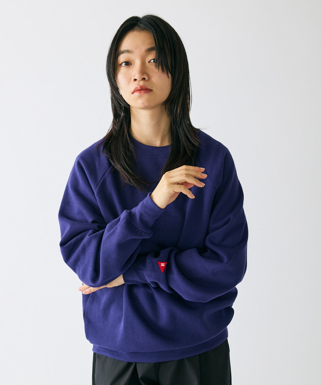 Healthknit / Healthknit CLASSIC SWEAT CREW NECK L/S スウェット