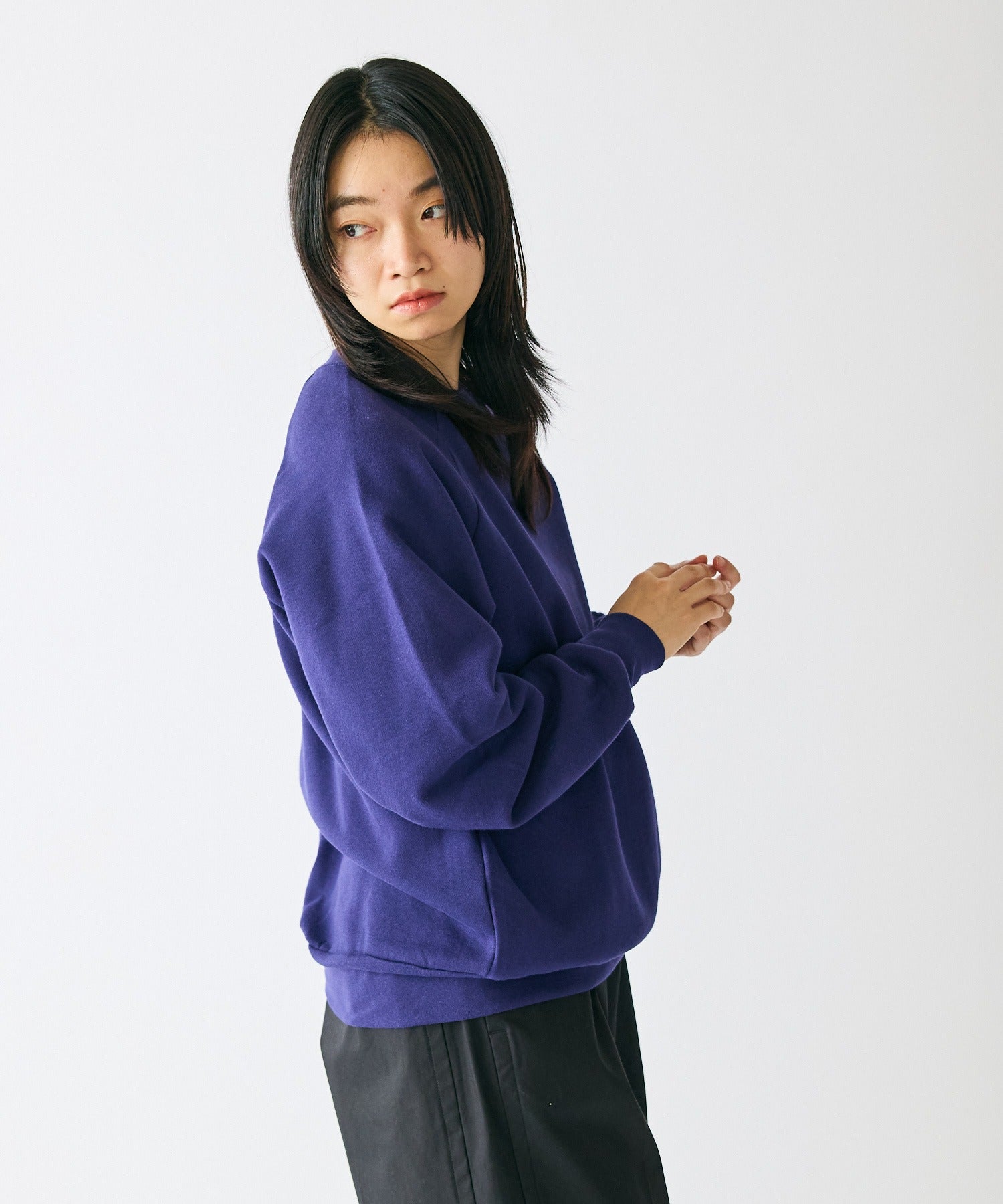 Healthknit / Healthknit CLASSIC SWEAT CREW NECK L/S スウェット