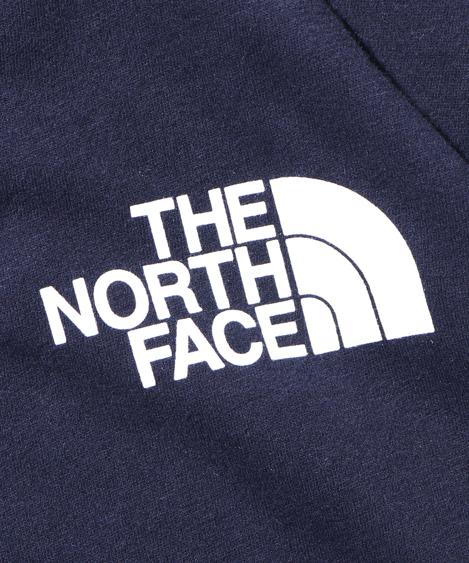 THE NORTH FACE/ザ・ノースフェイス M LS TNF Sleeve Hit Tee