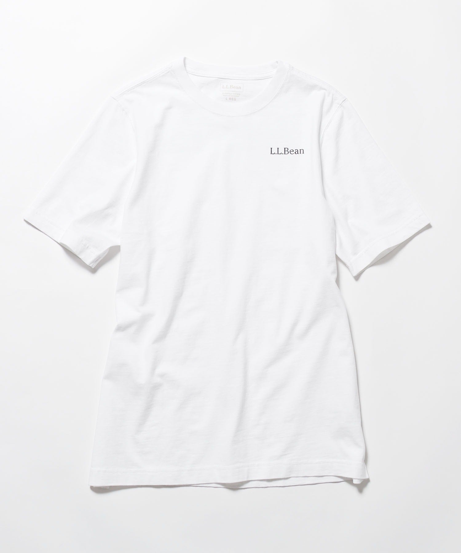 L.L.Bean/エル・エル・ビーン レイクウォッシュ オーガニック コットン グラフィックT Tシャツ